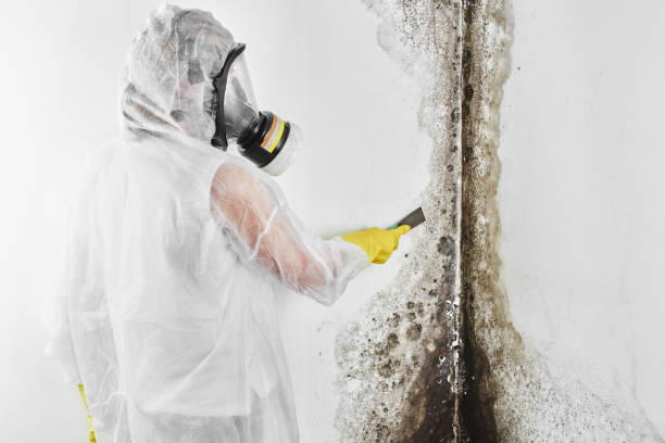 Best Professional Mold Removal  in Geneva, WA