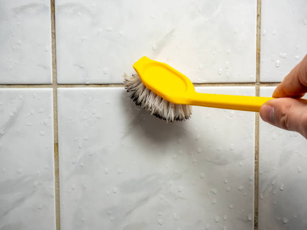  Geneva, WA Mold Removal Pros