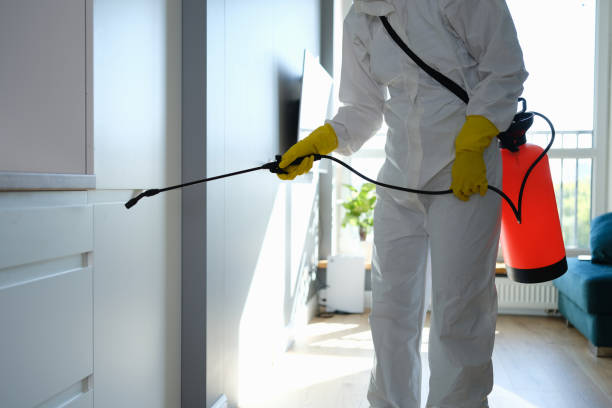 Best Fast Mold Removal  in Geneva, WA