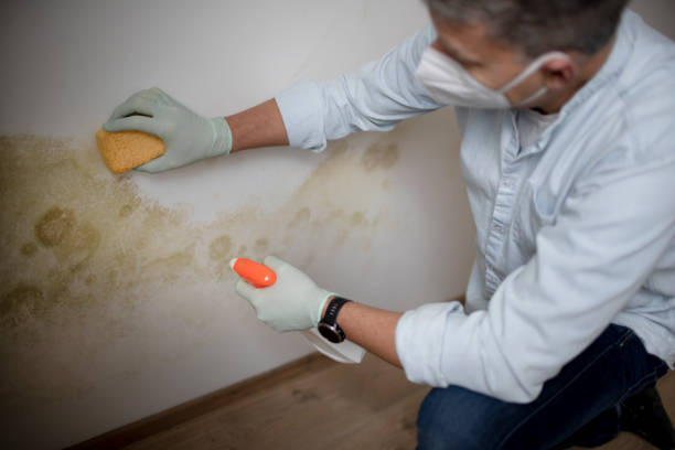 Best Residential Mold Removal  in Geneva, WA